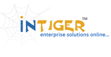 Intiger Group - Web Design Company